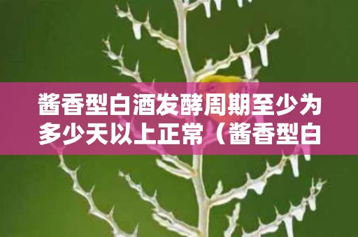 酱香型白酒发酵周期至少为多少天以上正常（酱香型白酒发酵周期至少为多少天以上正常饮用）