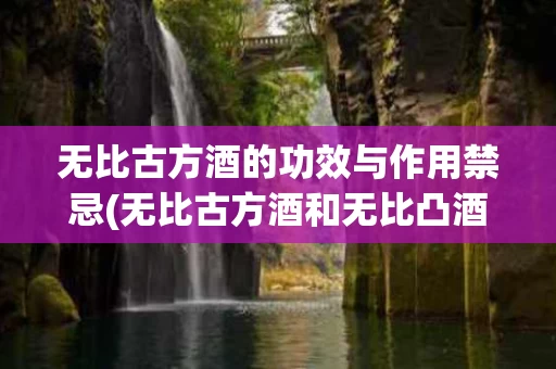 无比古方酒的功效与作用禁忌(无比古方酒和无比凸酒是一种酒吗)