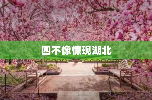四不像惊现湖北