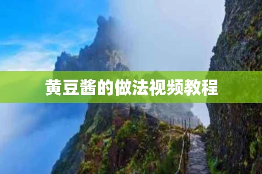 黄豆酱的做法视频教程