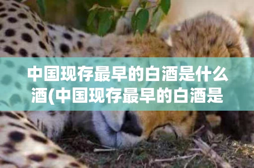 中国现存最早的白酒是什么酒(中国现存最早的白酒是什么酒啊)