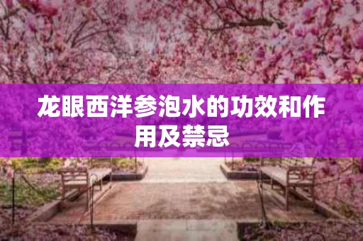 龙眼西洋参泡水的功效和作用及禁忌