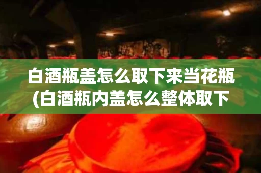 白酒瓶盖怎么取下来当花瓶(白酒瓶内盖怎么整体取下)