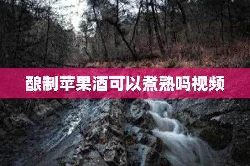酿制苹果酒可以煮熟吗视频