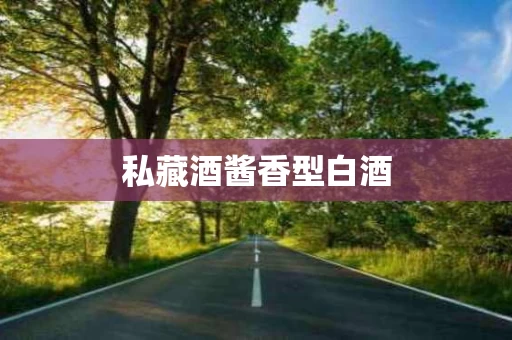 私藏酒酱香型白酒