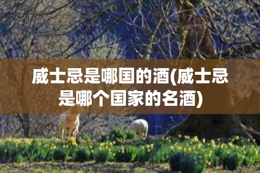 威士忌是哪国的酒(威士忌是哪个国家的名酒)