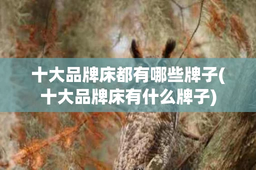十大品牌床都有哪些牌子(十大品牌床有什么牌子)