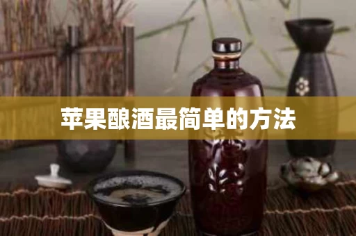 苹果酿酒最简单的方法