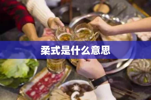 柔式是什么意思