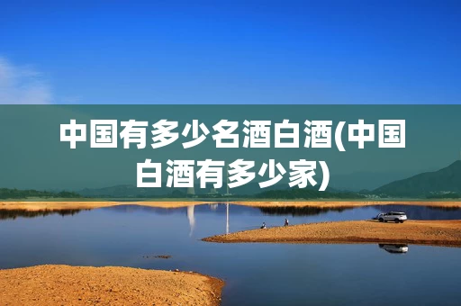 中国有多少名酒白酒(中国白酒有多少家)