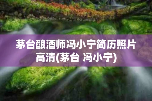 茅台酿酒师冯小宁简历照片高清(茅台 冯小宁)