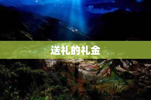 送礼的礼金