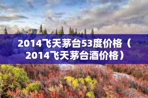 2014飞天茅台53度价格（2014飞天茅台酒价格）