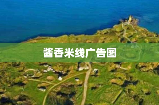 酱香米线广告图