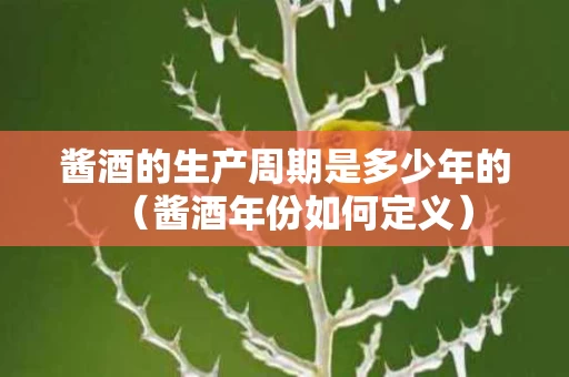 酱酒的生产周期是多少年的（酱酒年份如何定义）