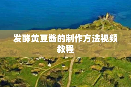 发酵黄豆酱的制作方法视频教程