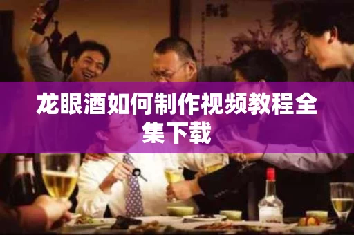 龙眼酒如何制作视频教程全集下载