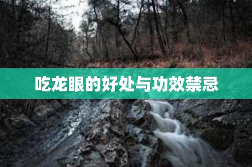 吃龙眼的好处与功效禁忌