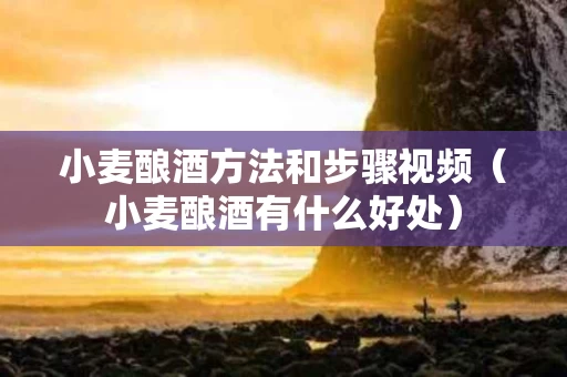 小麦酿酒方法和步骤视频（小麦酿酒有什么好处）