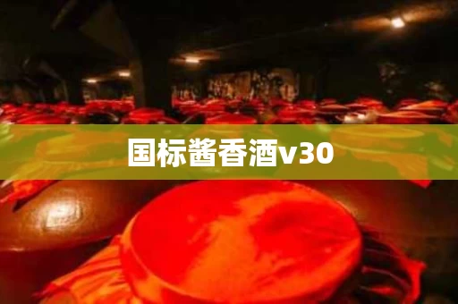 国标酱香酒v30