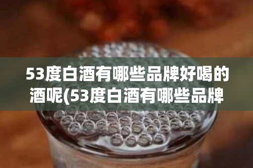 53度白酒有哪些品牌好喝的酒呢(53度白酒有哪些品牌好喝的酒呢图片)