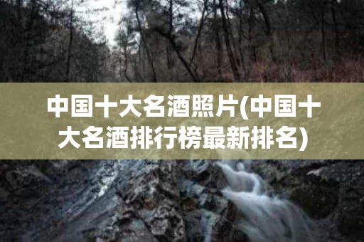 中国十大名酒照片(中国十大名酒排行榜最新排名)