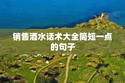 销售酒水话术大全简短一点的句子