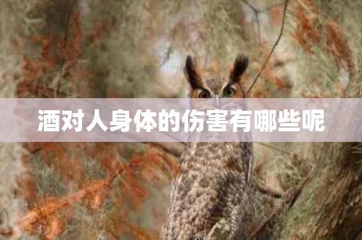 酒对人身体的伤害有哪些呢