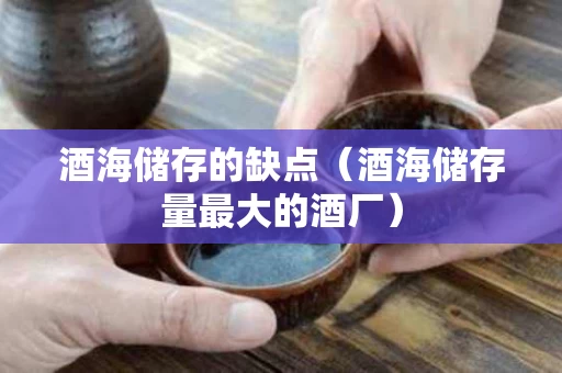 酒海储存的缺点（酒海储存量最大的酒厂）