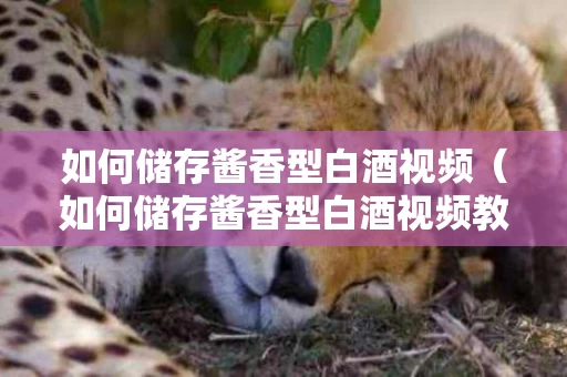 如何储存酱香型白酒视频（如何储存酱香型白酒视频教学）