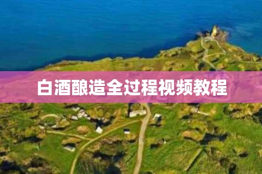 白酒酿造全过程视频教程