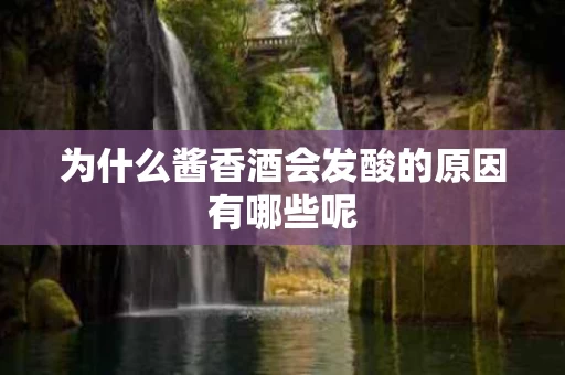 为什么酱香酒会发酸的原因有哪些呢
