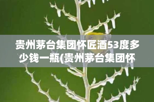 贵州茅台集团怀匠酒53度多少钱一瓶(贵州茅台集团怀匠酒53度多少钱一瓶十八年的)