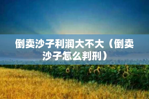 倒卖沙子利润大不大（倒卖沙子怎么判刑）