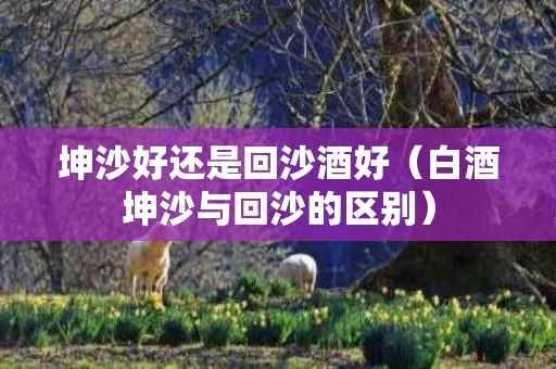 坤沙好还是回沙酒好（白酒坤沙与回沙的区别）