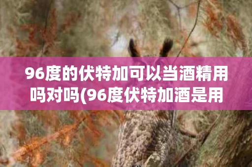 96度的伏特加可以当酒精用吗对吗(96度伏特加酒是用来做什么的)