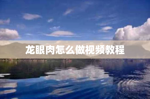 龙眼肉怎么做视频教程
