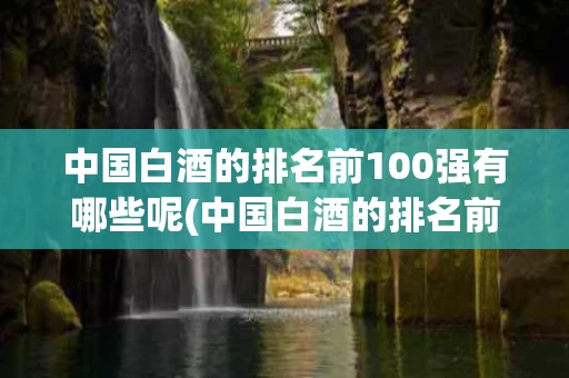 中国白酒的排名前100强有哪些呢(中国白酒的排名前100强有哪些呢视频)