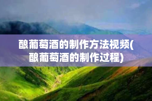 酿葡萄酒的制作方法视频(酿葡萄酒的制作过程)