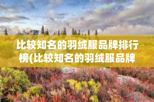 比较知名的羽绒服品牌排行榜(比较知名的羽绒服品牌排行榜有哪些)