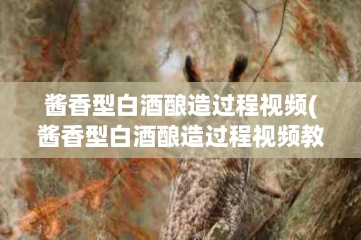 酱香型白酒酿造过程视频(酱香型白酒酿造过程视频教程)