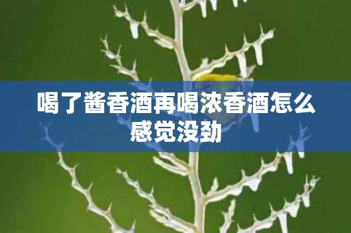 喝了酱香酒再喝浓香酒怎么感觉没劲