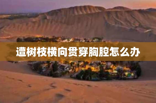 遭树枝横向贯穿胸腔怎么办