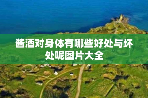 酱酒对身体有哪些好处与坏处呢图片大全