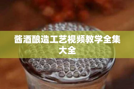 酱酒酿造工艺视频教学全集大全