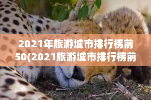 2021年旅游城市排行榜前50(2021旅游城市排行榜前十名)