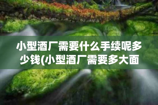 小型酒厂需要什么手续呢多少钱(小型酒厂需要多大面积)
