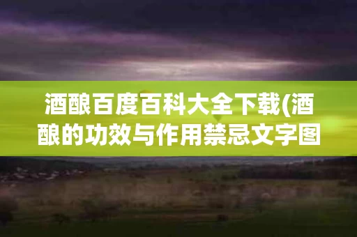酒酿百度百科大全下载(酒酿的功效与作用禁忌文字图片)