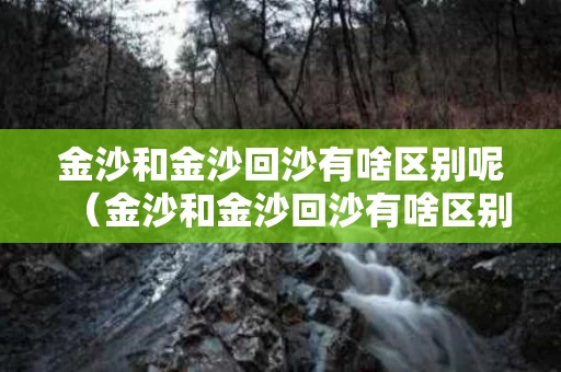 金沙和金沙回沙有啥区别呢（金沙和金沙回沙有啥区别呢图片）
