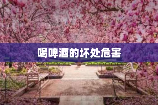 喝啤酒的坏处危害